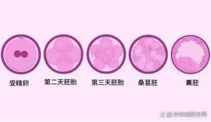 试管心理疏导_试管心理调节_调节心理试管的方法