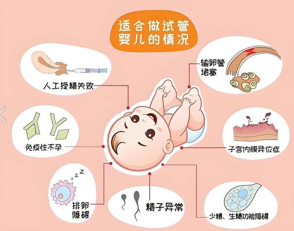 试管婴儿科普干货 从检查到移植一篇看懂