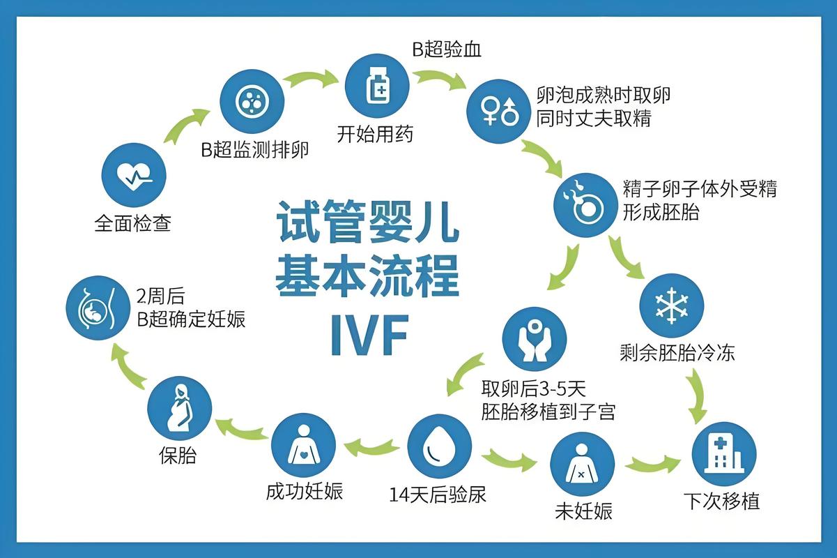 百科试管_试管科普干货_科普干货试管成功案例