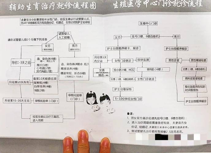 科普干货试管成功案例_百科试管_试管科普干货