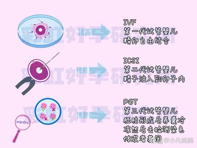 做试管去北京哪个医院_试管检查费用明细去哪_北京三代试管 PGT 筛查费用 医院明细