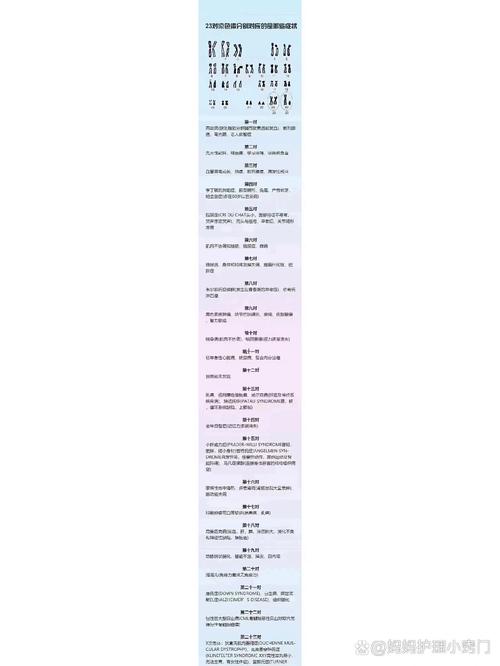 PGT胚胎筛查能避免遗传病吗 试管家庭必看