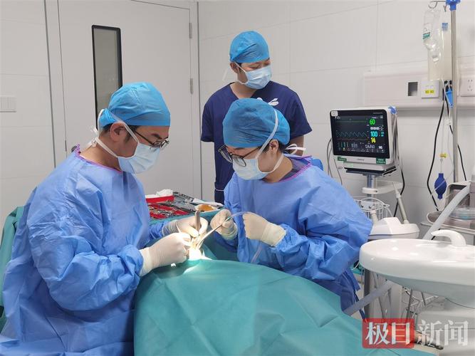 90岁老人种牙行不行 医生说了大实话
