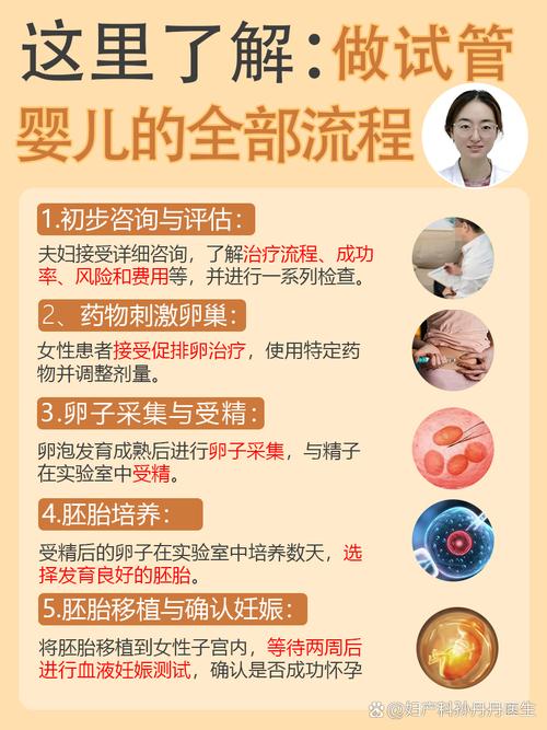 试管婴儿常见疑问全解答 一次说清成功率费用流程