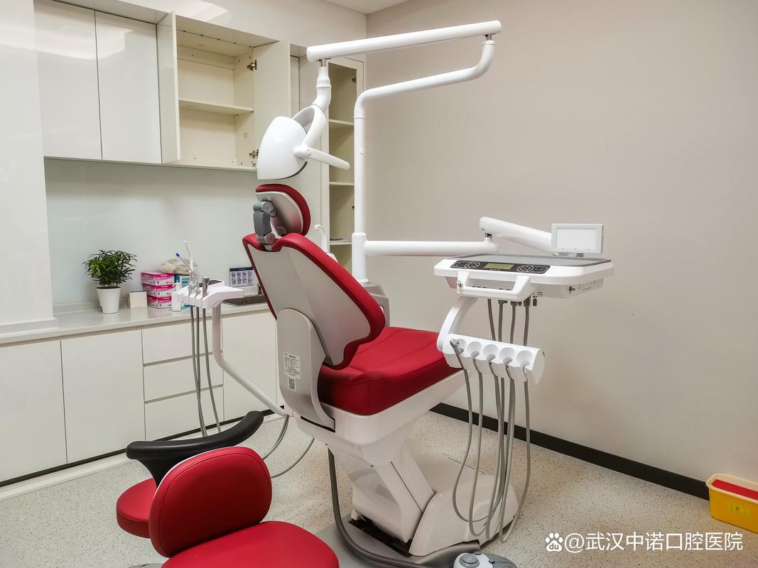 种牙到底花多少钱？揭秘6类常见植牙价格与避坑指南