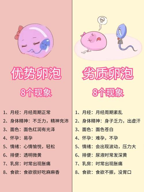 卵子质量不好怎么办 备孕提高卵子质量的三步法