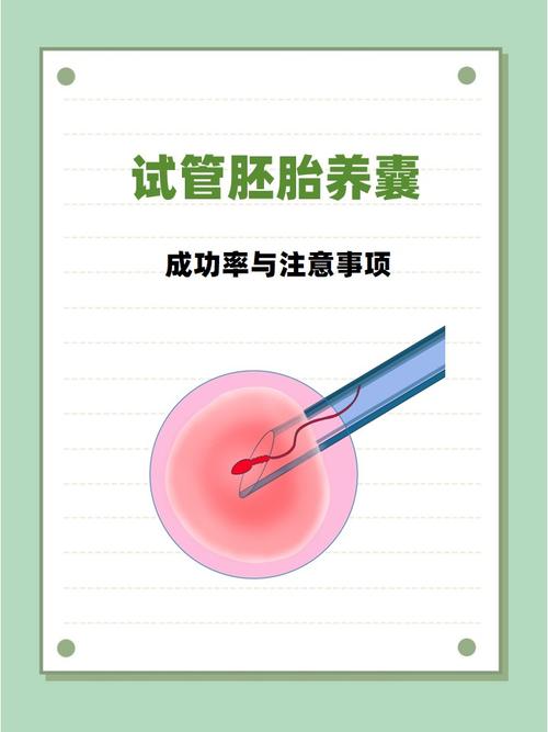 囊胚培养是什么？试管成功的关键一步