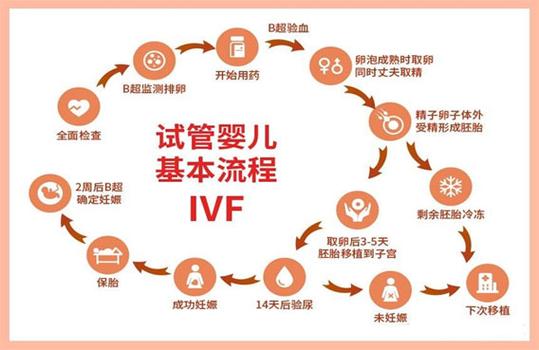 试管移植流程步骤_试管移植进周期流程_第三代试管从检查到移植流程