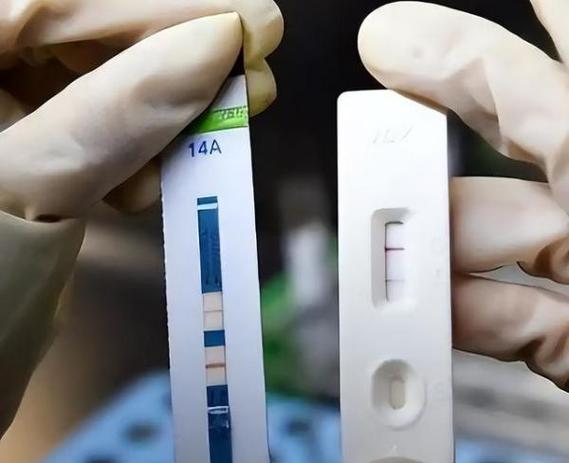 备孕安全期会怀孕吗_HIV备孕安全吗_备孕安全期可以同房吗