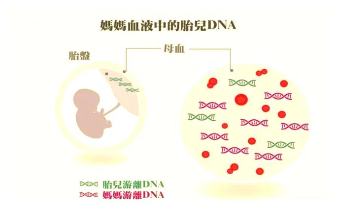 香港验血查男女一天可以测多少_香港验血查男女可以查女孩吗_香港验血查男女可以查女孩吗