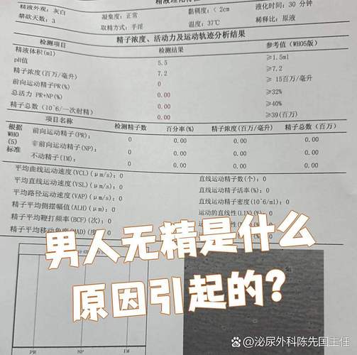 精原细胞染色体核型_无精症和染色体有关系吗_精原细胞有几条染色体