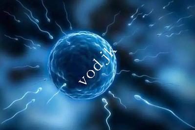 试管费用代做取卵多少钱_做第三代试管取卵费用_试管取卵费用一般用多少钱