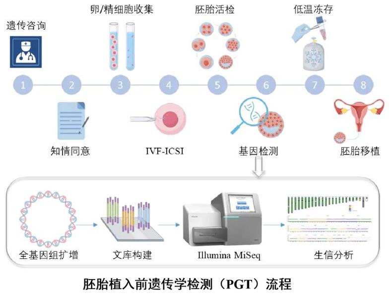 三代试管筛查项目有哪些 能查什么病