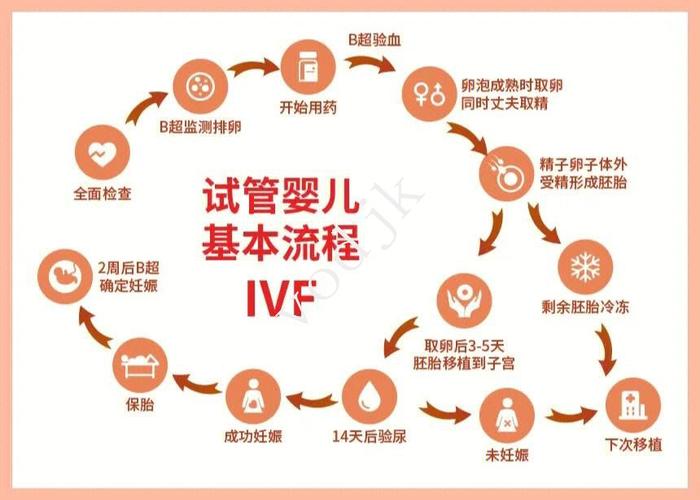 试管的婴儿医院_试管婴儿哪个医院做得好_试管公立医院最厉害三个地方