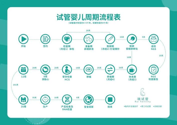 北京试管婴儿流程步骤 从检查到移植要多少天
