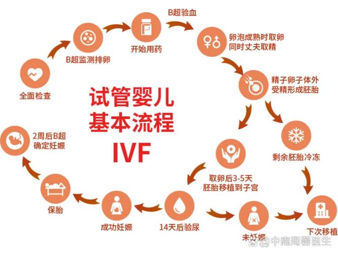 北京试管婴儿流程步骤 时间周期_婴儿周期发育过程图片_试管婴儿胎儿周期怎么算