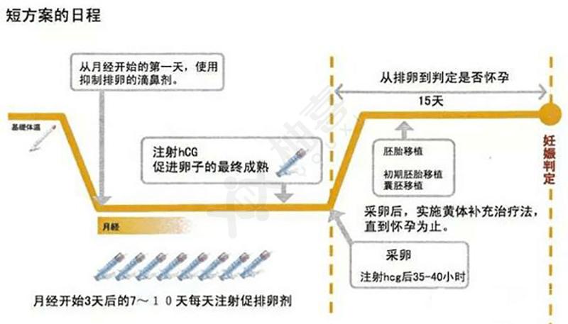 短方案适合什么人群_短方案_短方案促排卵针一般打几天