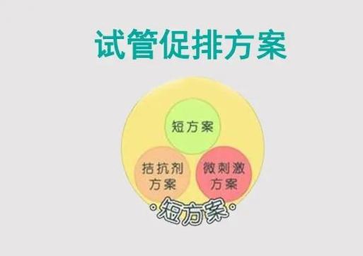 短方案_短方案促排卵针一般打几天_短方案适合什么人群